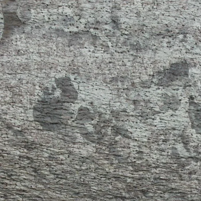 ZEERA GREEN - Зображення 3