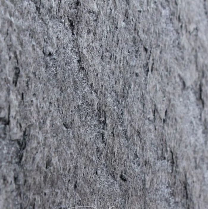 GALAXY SILVER - Зображення 3