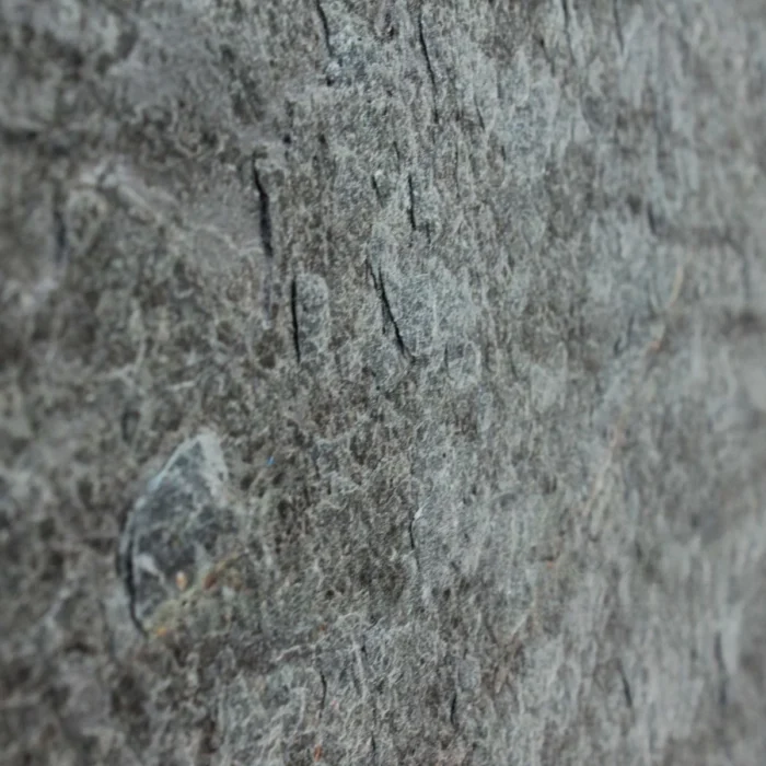 OCEAN GREEN - Зображення 2