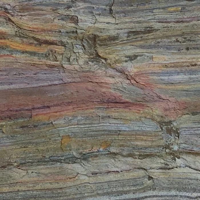 FOREST FIRE - Зображення 2