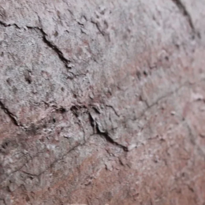 COPPER - Зображення 5