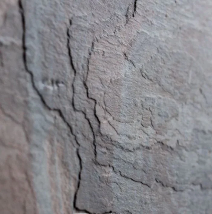 MULTI PINK - Зображення 3