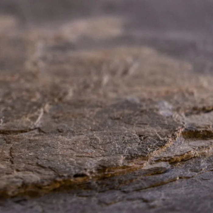 AUTUMN RUSTIC H - imagine 4