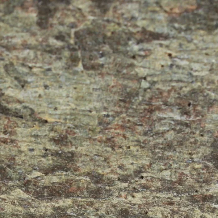 ZEERA GREEN - Зображення 4