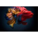 КАРТИНА НА СТЕКЛЕ DRAGON HALFMOON 80X120СМ