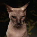 КАРТИНА НА СТЕКЛЕ SPHYNX 80X120СМ