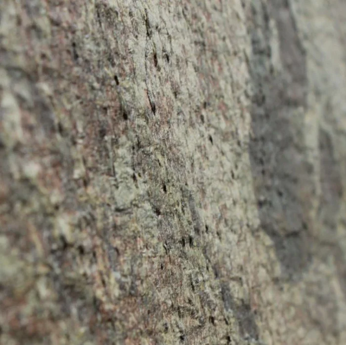 ZEERA GREEN - Зображення 5