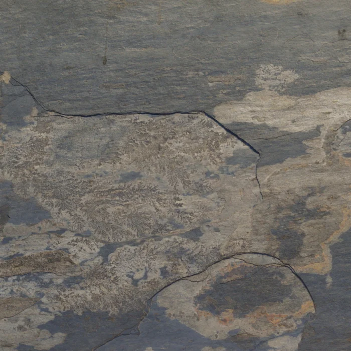 CALIFORNIA GOLD — изображение 2