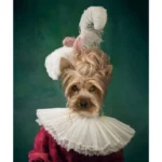 КАРТИНА НА СТЕКЛЕ CHARMING DOG 120X80СМ